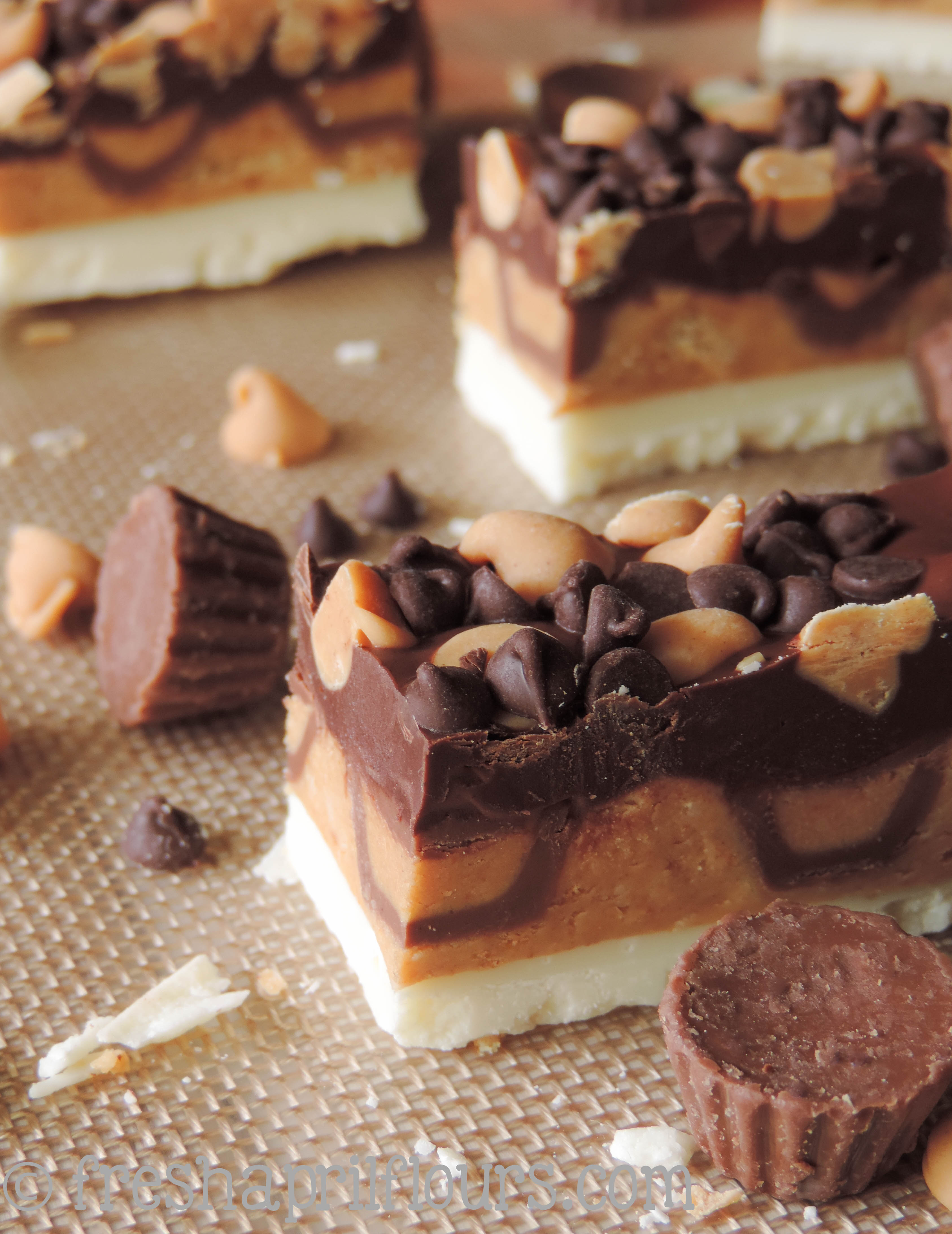 Triple Chocolate Peanut Butter Bites: A slightly crunchy peanut butter cup layer, sandwiched between dark and white chocolate layers, and topped off with some more chocolate and peanut butter!