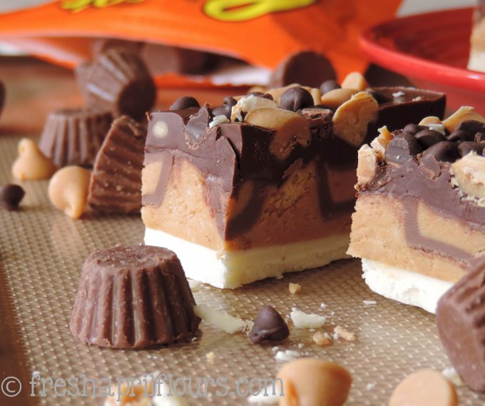 Triple Chocolate Peanut Butter Bites: A slightly crunchy peanut butter cup layer, sandwiched between dark and white chocolate layers, and topped off with some more chocolate and peanut butter!