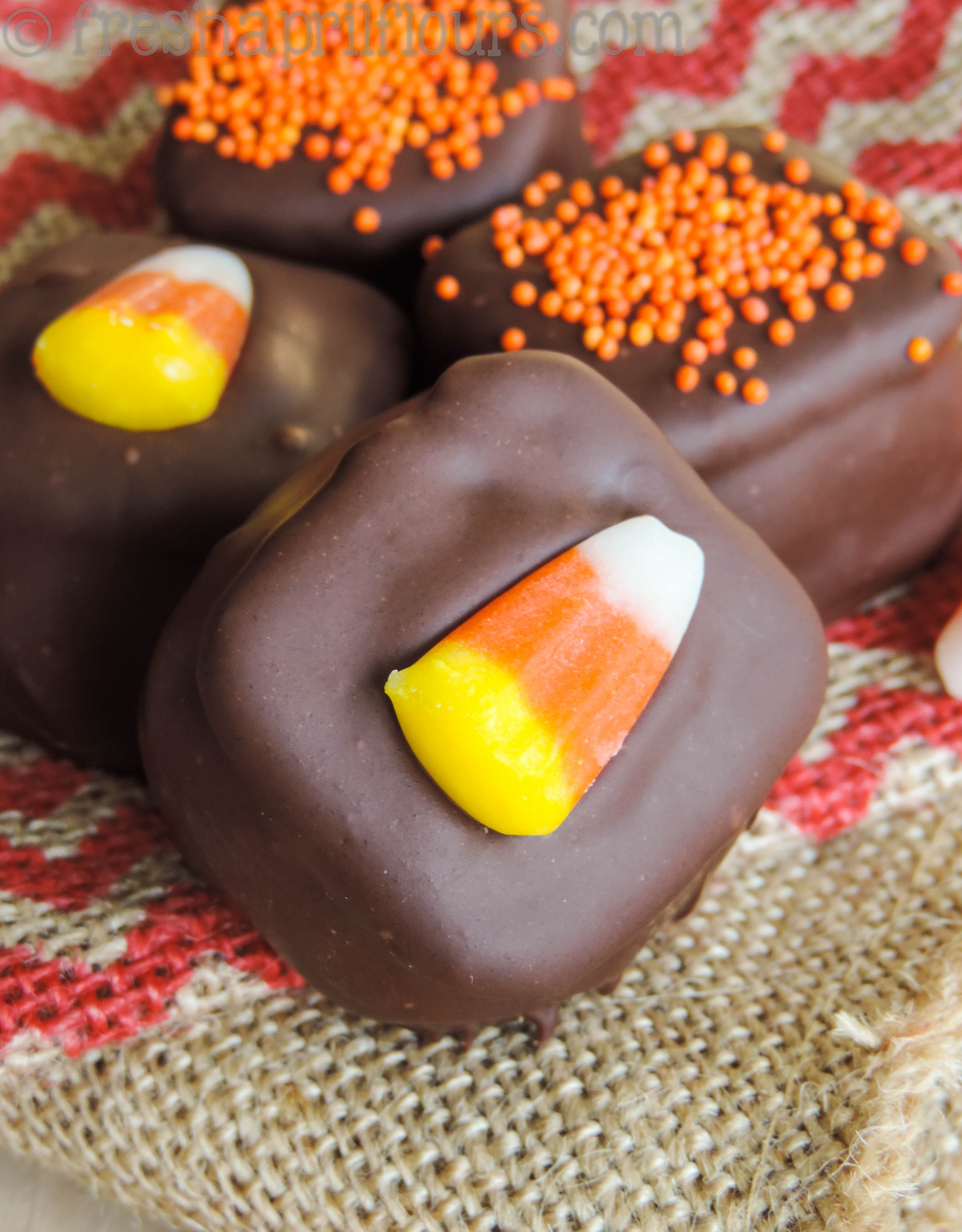 A gooey, nutty, and spicy blend of pumpkin and peanut butter, sandwiched between two pretzels and topped off with a chocolate coating. This is one flavor combination you must try for fall!