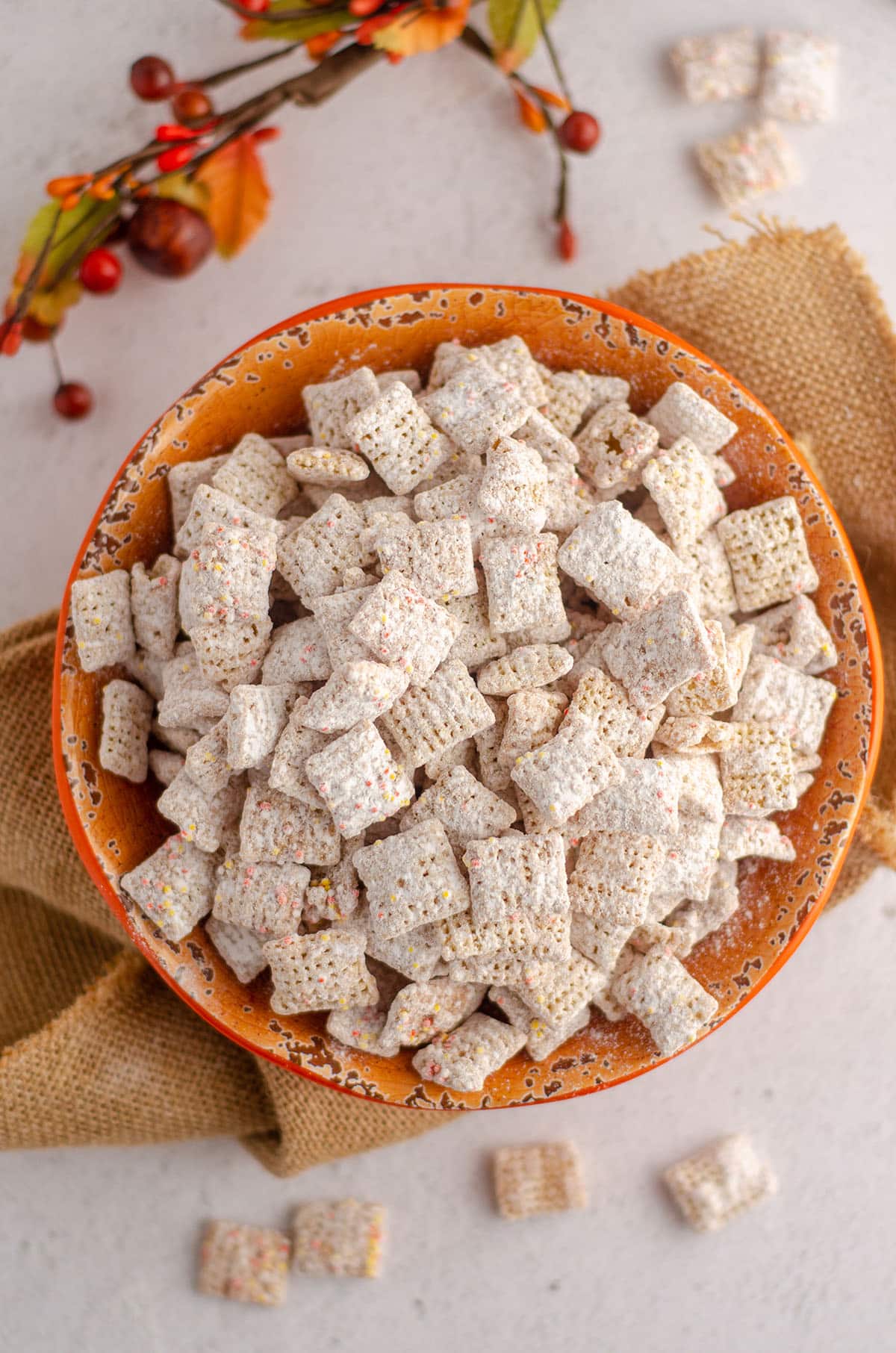 aerial photo of pumpkin spice puppy chow sitting in an orange bowl