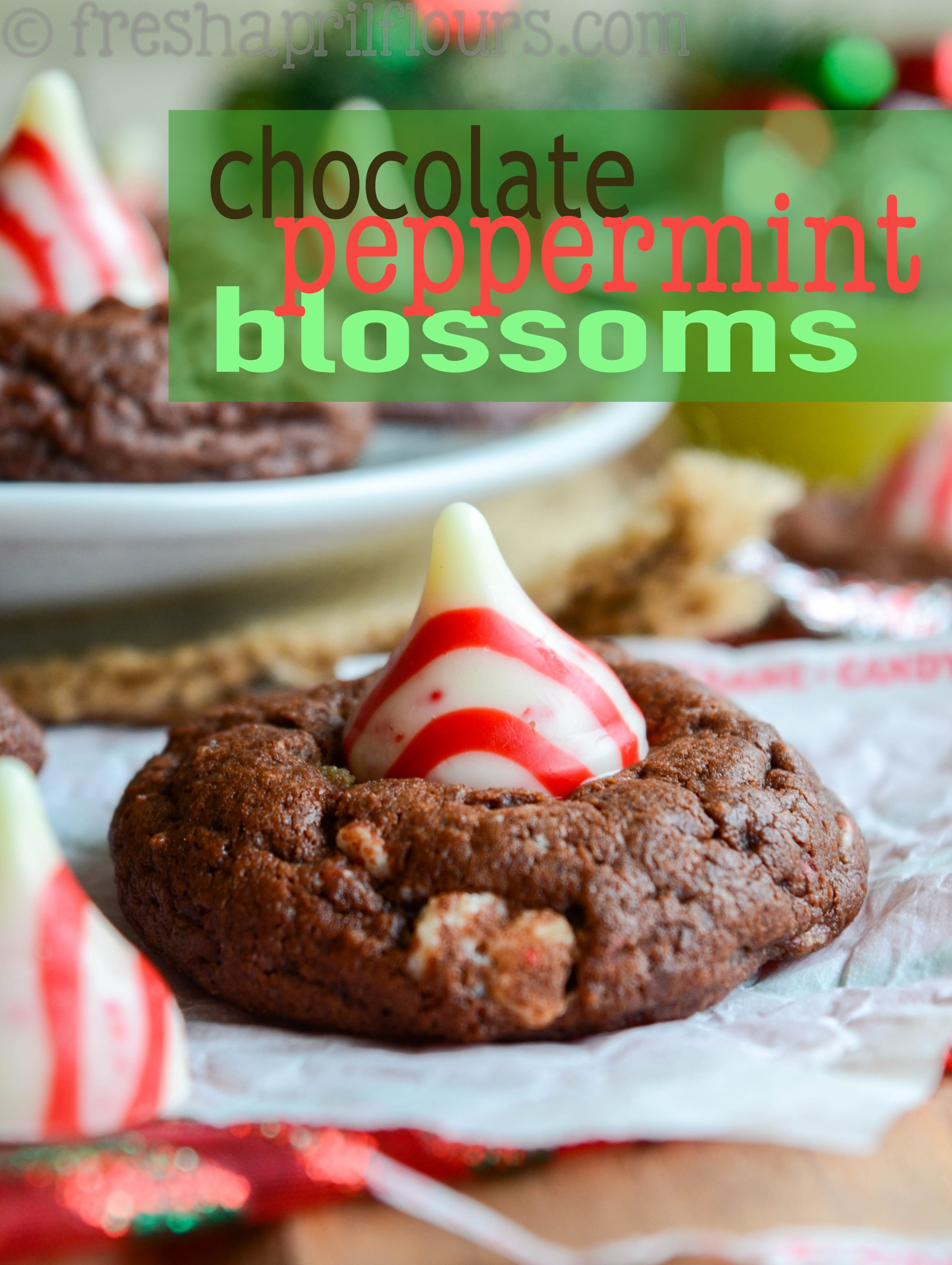 Chocolate Peppermint Blossoms: A holiday take on the classic "blossom" cookie! A simple chocolate cookie speckled with chopped candy cane Hershey's Kisses and topped with a swirly whole one. via @frshaprilflours