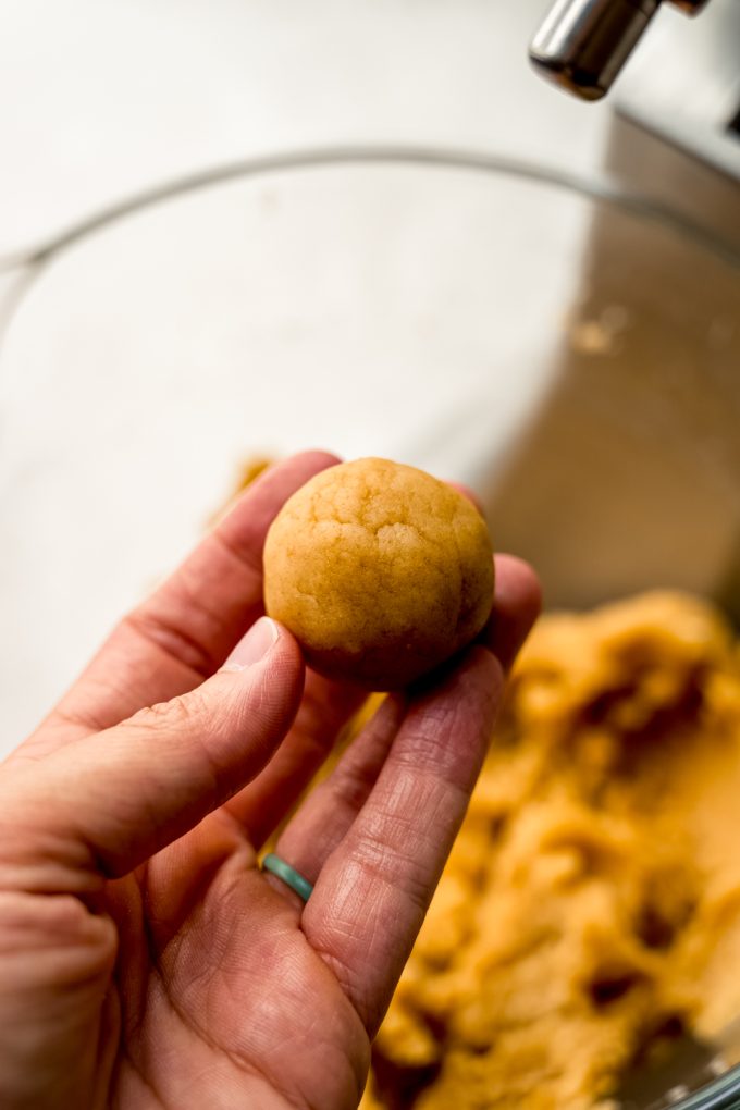 Someone's hand holding a cake pop ball.