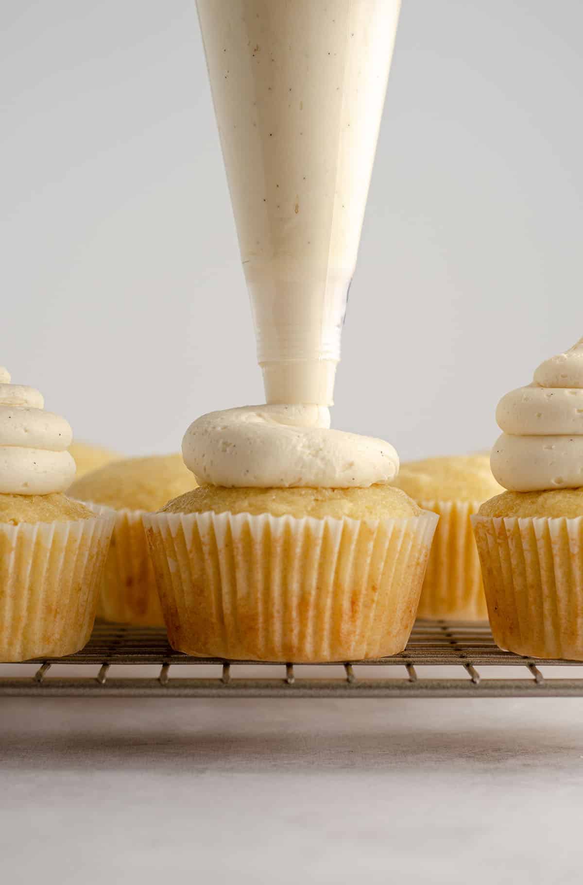 a piping bag piping vanilla buttercream onto the top of a vanilla bean cupcake