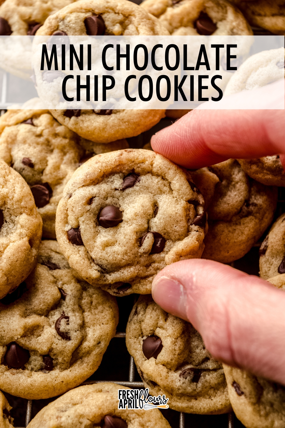 These soft and chewy bite-size chocolate chip cookies are made with only 8 simple ingredients and require no chilling. With just one teaspoon of cookie dough, they are perfect size for small hands, lunch boxes, and easy snacking!  via @frshaprilflours