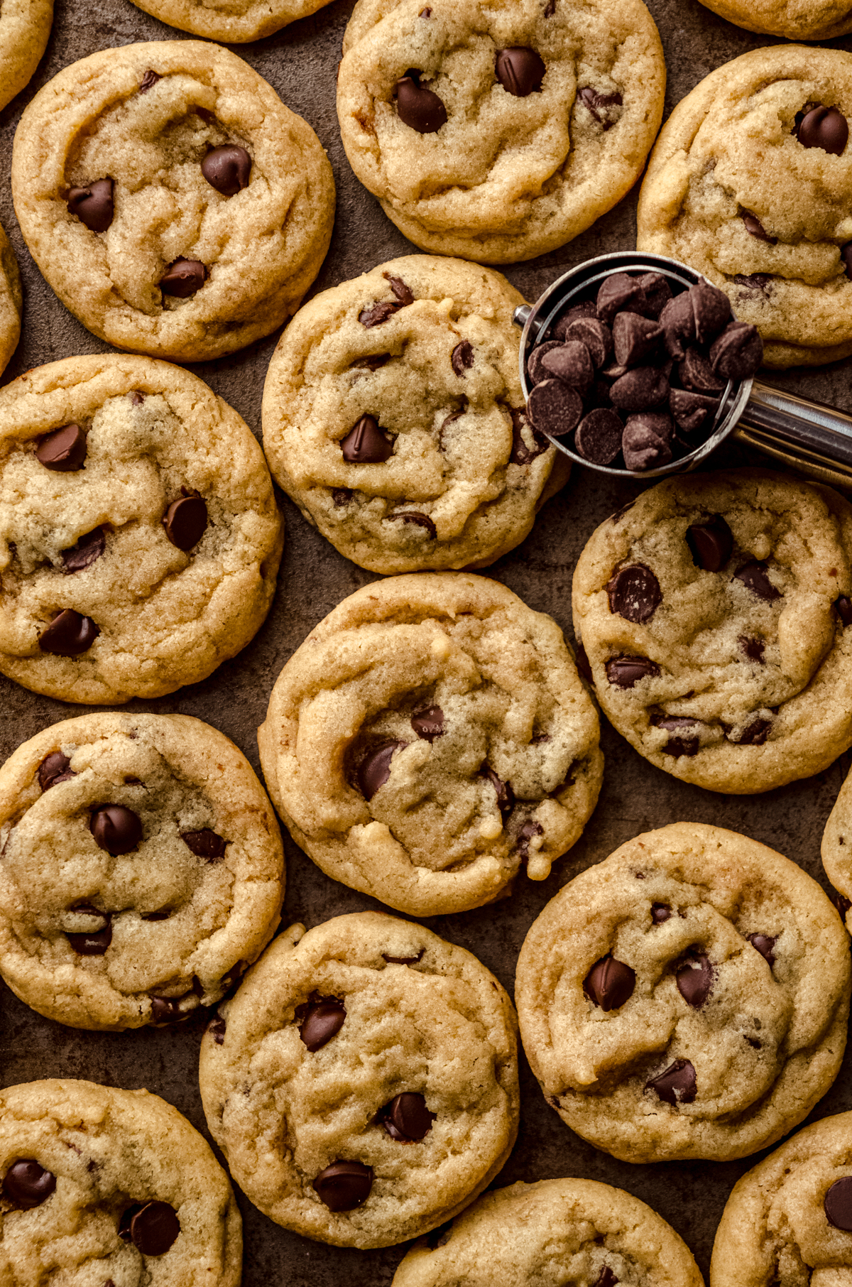 Aerial photo of a bunch of mini chocolate chip cookies and there is a mini cookie scoop filled with mini chocolate chips in the photo.