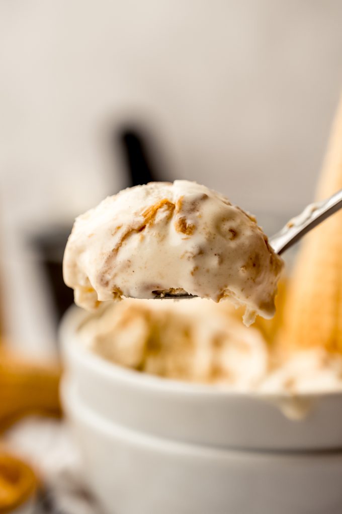 A closeup photo of a spoonful of peanut butter ripple ice cream.