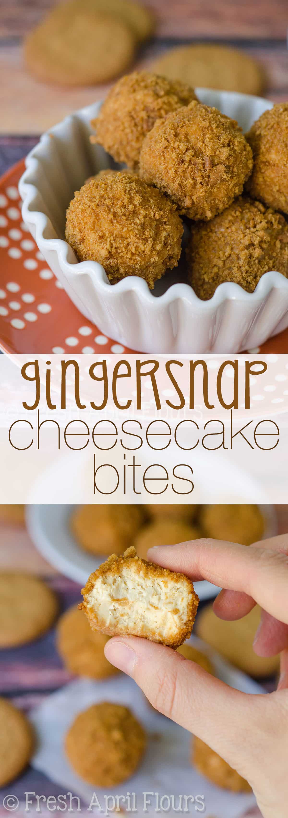 Easy, no bake cheesecake bites, rolled in a spicy gingersnap cookie coating. via @frshaprilflours