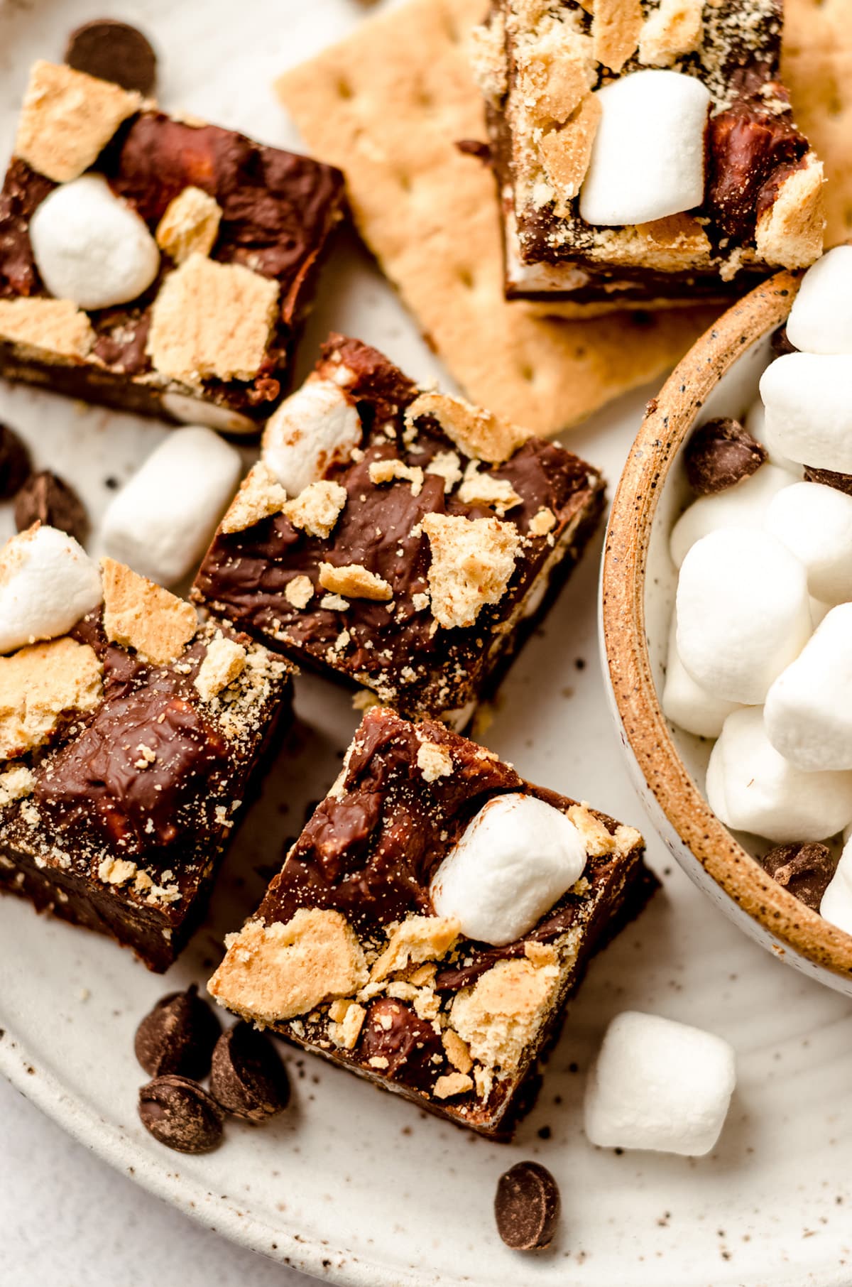 aerial photo of s'mores fudge on a plate