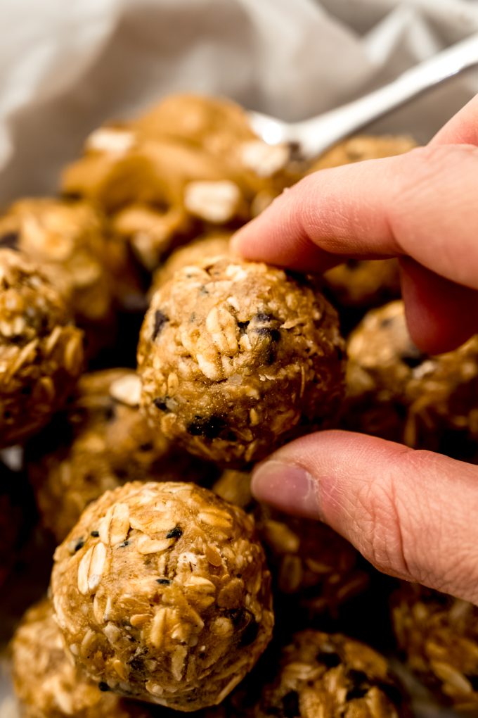 A bowl of chocolate chip oat bites and someone is holding one with their thumb and pointer finger.