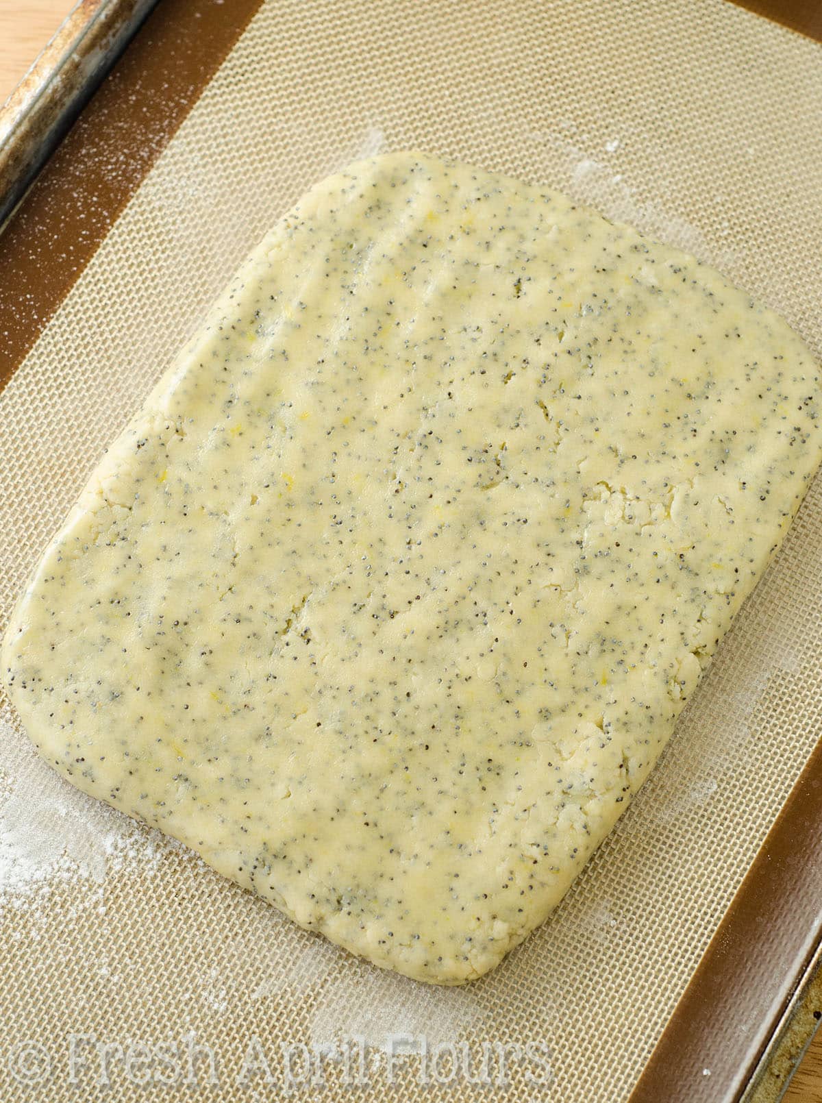 slab of lemon poppy seed biscotti dough