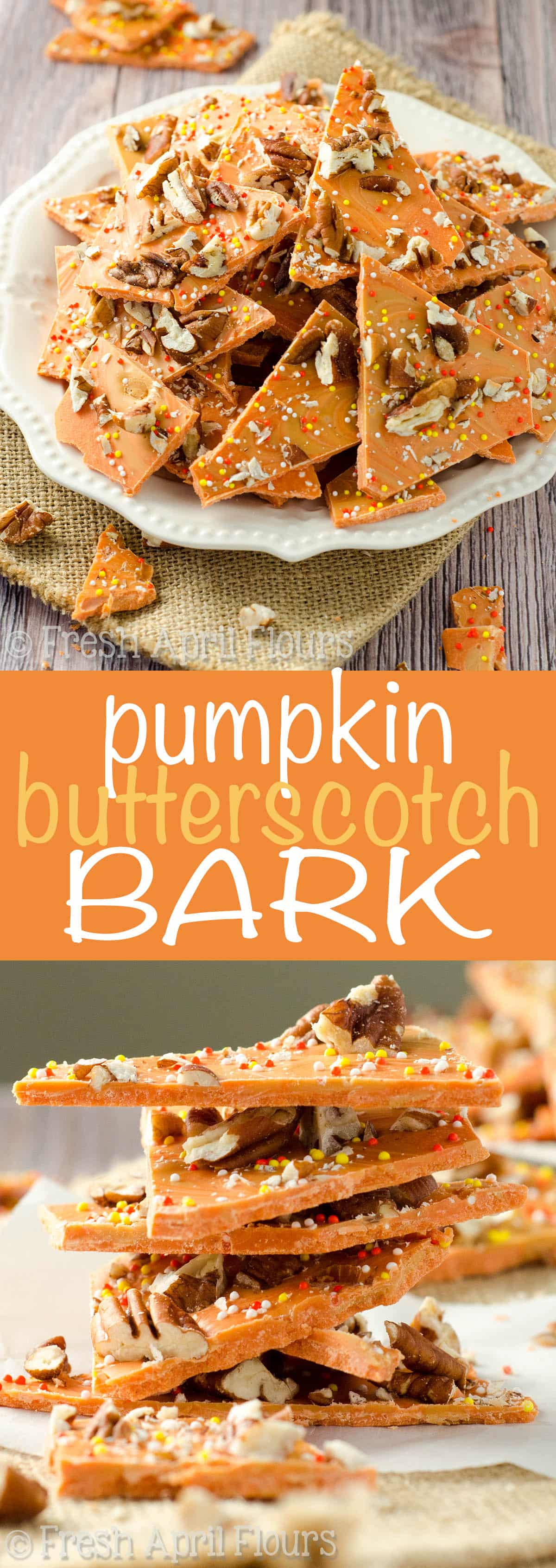 Pumpkin Butterscotch Bark: An easy bark made with pumpkin spice candy melts, butterscotch chips, and chopped nuts. Great for Halloween goodie bags! via @frshaprilflours