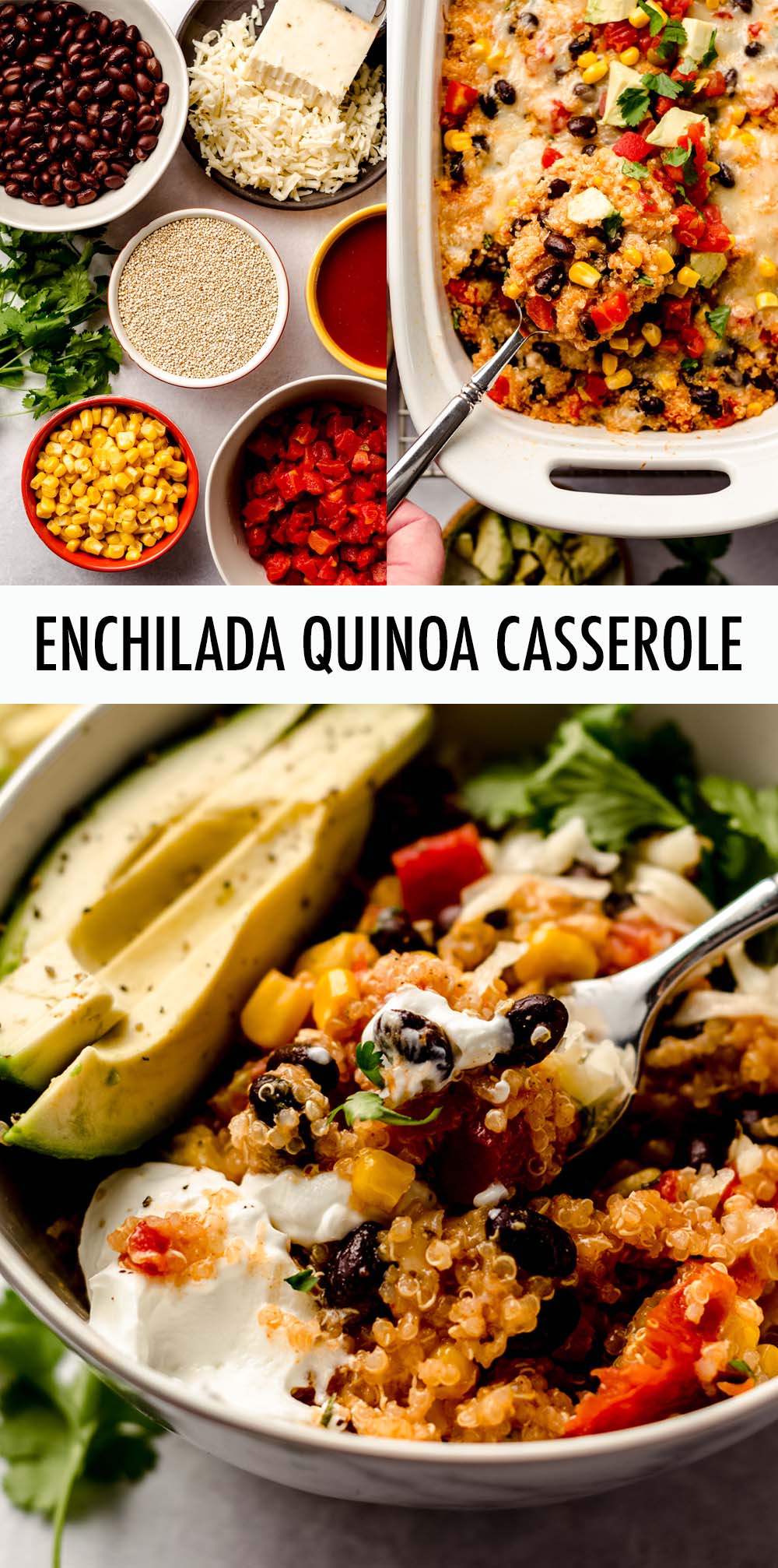 A quick and easy gluten free enchilada casserole full of spices, cheese, and nutrient-rich quinoa. via @frshaprilflours