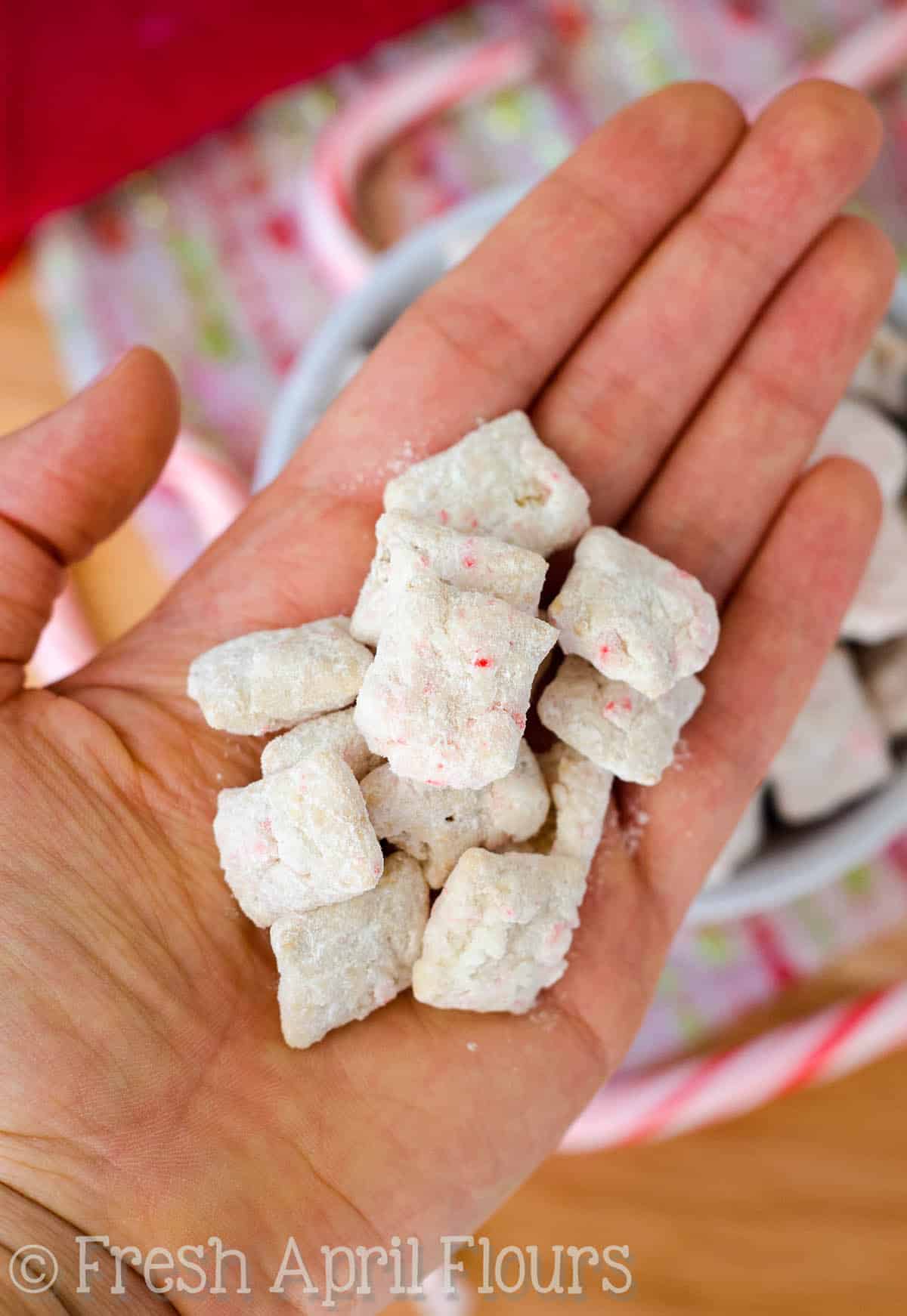 A hand holding a handful of candy cane puppy chow.