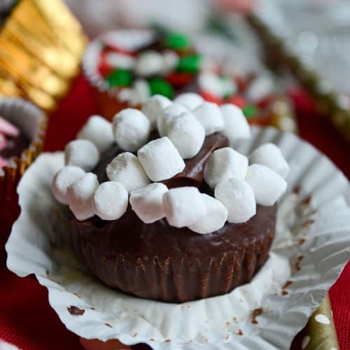 https://freshaprilflours.com/wp-content/uploads/2015/11/hot-choc-bombs-5-500x500.jpg