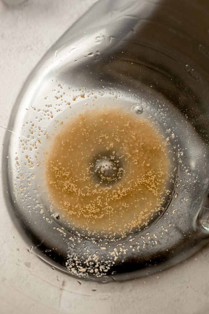 Yeast in the bottom of the bowl of a stand mixer.