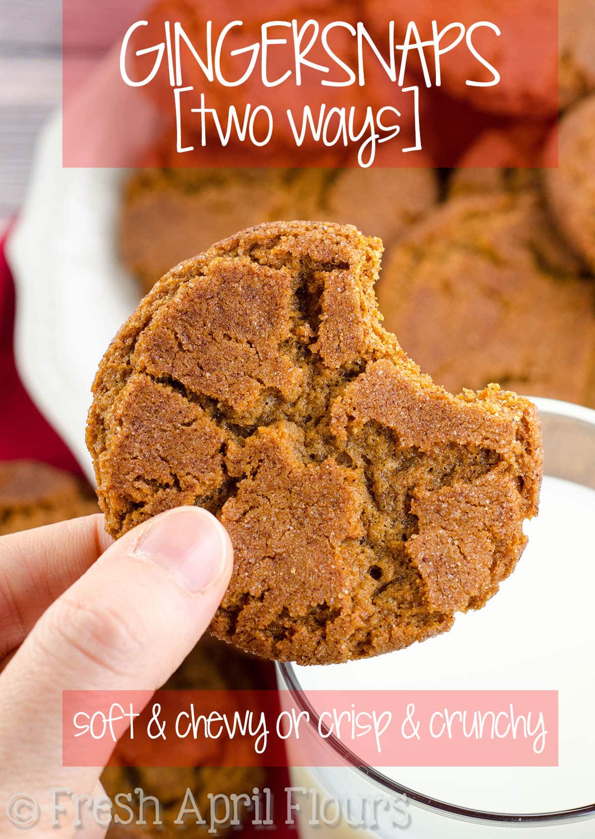 Gingersnap Cookies-- 2 Ways: Perfectly spiced molasses cookies-- either soft & chewy or crisp & crunchy. One recipe, two different results with just one ingredient swap. via @frshaprilflours