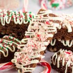 Chocolate Peppermint Biscotti: Chocolate biscotti bursting with peppermint flavor and bits of candy canes. Add a drizzle of white chocolate and some festive sprinkles and you have yourself a merry little dessert!