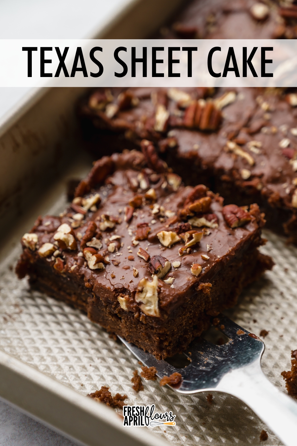 This dense and fudgy chocolate Texas sheet cake is covered in a crackly chocolate icing that's loaded with pecan pieces on top of every bite. It is easily one of the simplest chocolate cakes you could ever make, and it's perfect for entertaining or feeding a crowd. via @frshaprilflours
