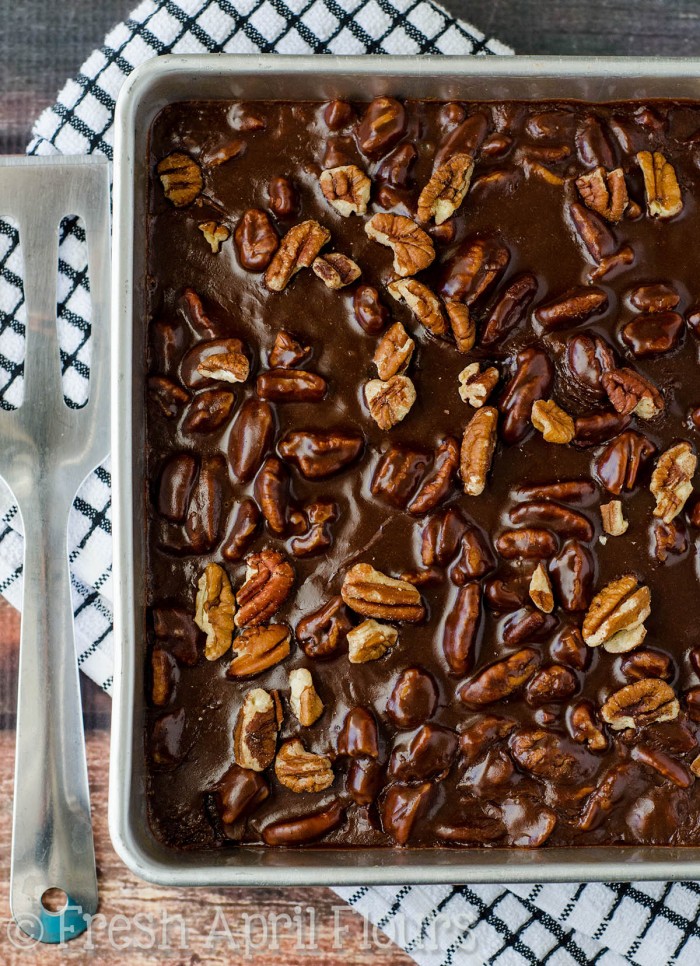 Texas Sheet Cake: Incredibly moist and chocolatey sheet cake topped with a fudgy pecan icing.