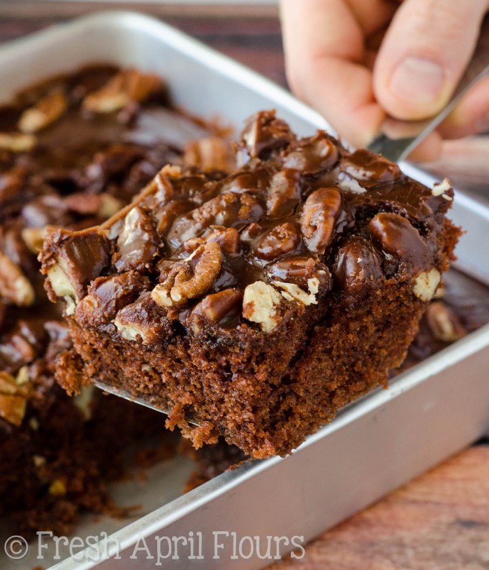 Texas Sheet Cake: Incredibly moist and chocolatey sheet cake topped with a fudgy pecan icing.