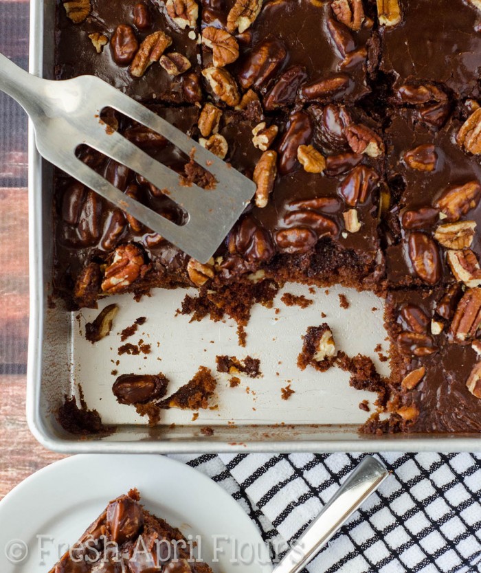 Texas Sheet Cake: Incredibly moist and chocolatey sheet cake topped with a fudgy pecan icing.