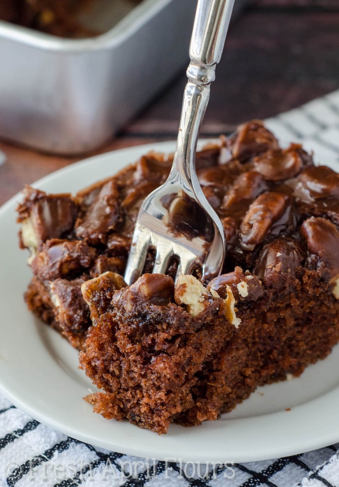 Texas Sheet Cake: Incredibly moist and chocolatey sheet cake topped with a fudgy pecan icing.