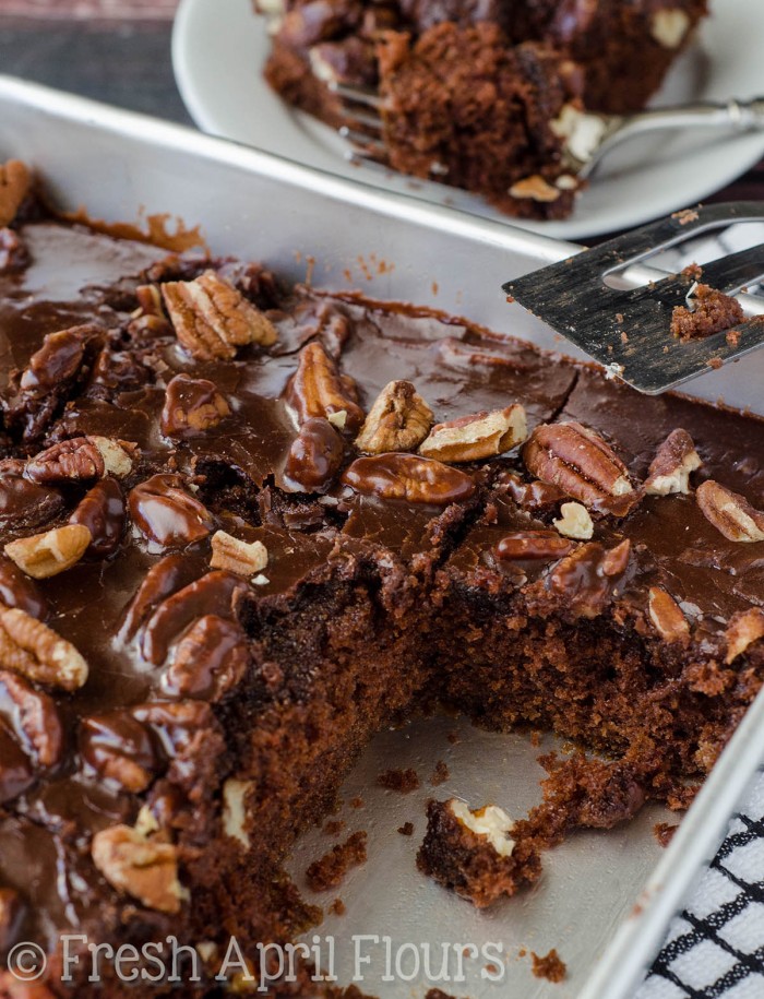 Texas Sheet Cake: Incredibly moist and chocolatey sheet cake topped with a fudgy pecan icing.