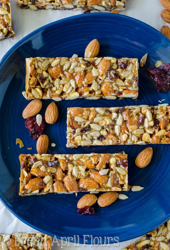 Cranberry Almond Vanilla Protein Bars -vegan camping meals