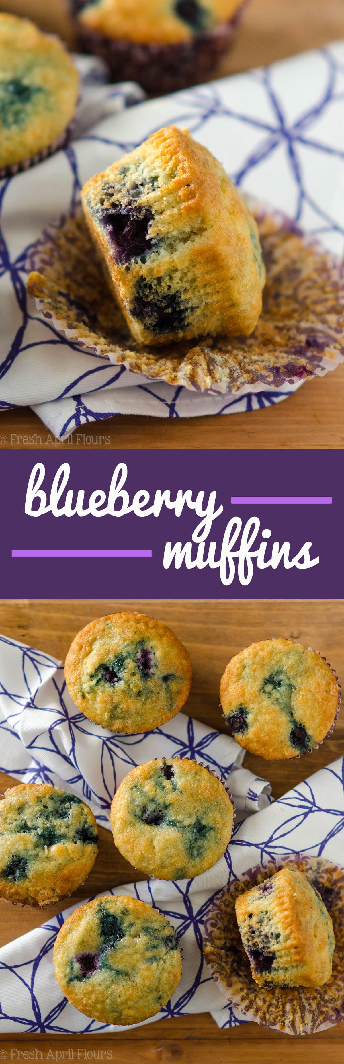 Blueberry Muffins: A quick and easy recipe for the classic! Moist, tender, and bursting with juicy blueberries. via @frshaprilflours