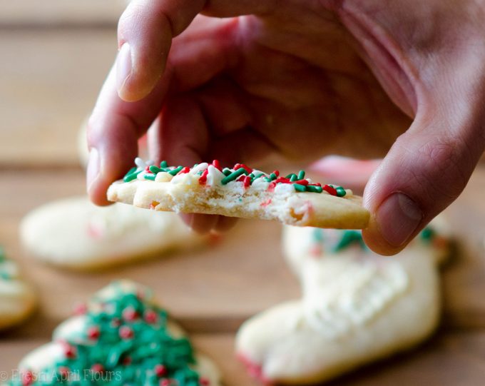 Peppermint Cut-Out Sugar Cookies: No dough chilling necessary for these soft cut-out sugar cookies that are perfect for decorating with chocolate, icing, or sprinkles. Crisp edges, soft centers, and filled with bits of candy canes!