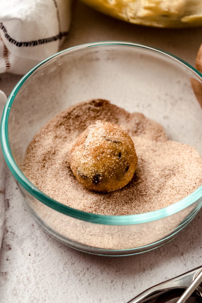 A chocolate chip snickerdoodle cookie dough in a bowl cinnamon-sugar coating.