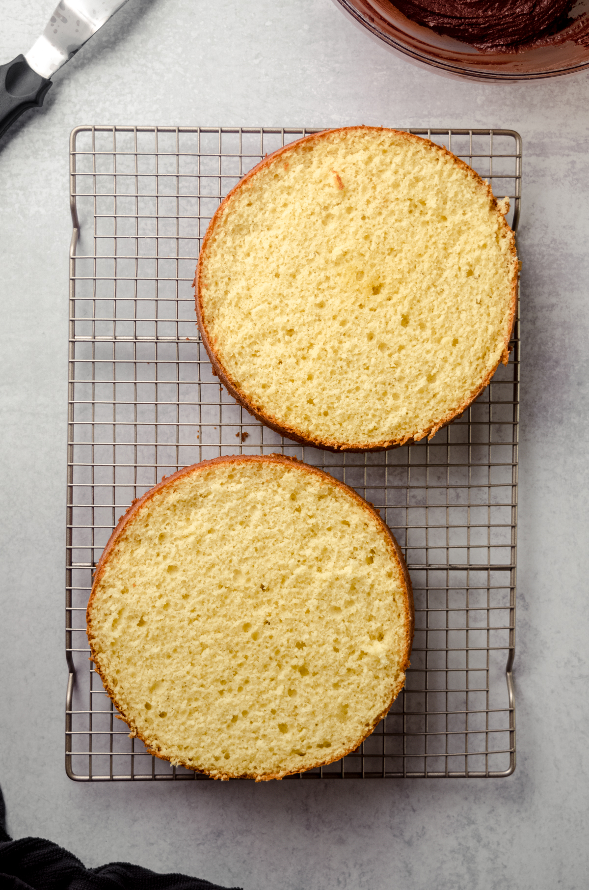 An aerial photo of two yellow cake layers trimmed and ready to assemble.