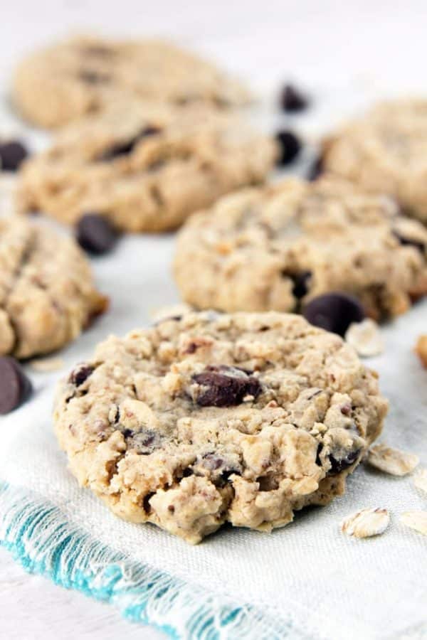 lactation oatmeal cookies