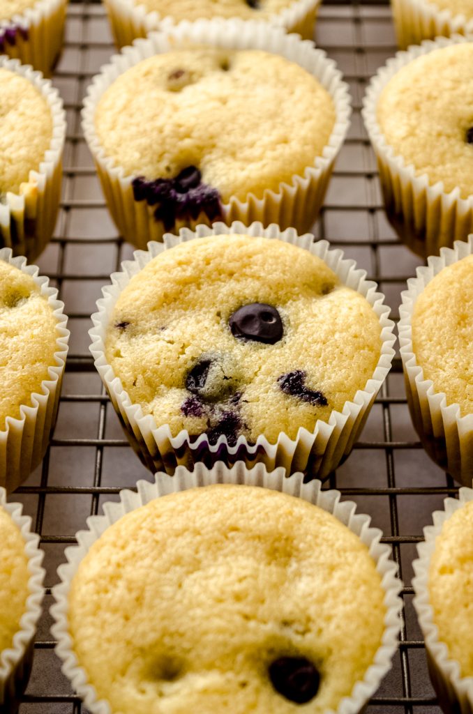 Lemon blueberry cupcakes without frosting on them sitting on a cooling rack.