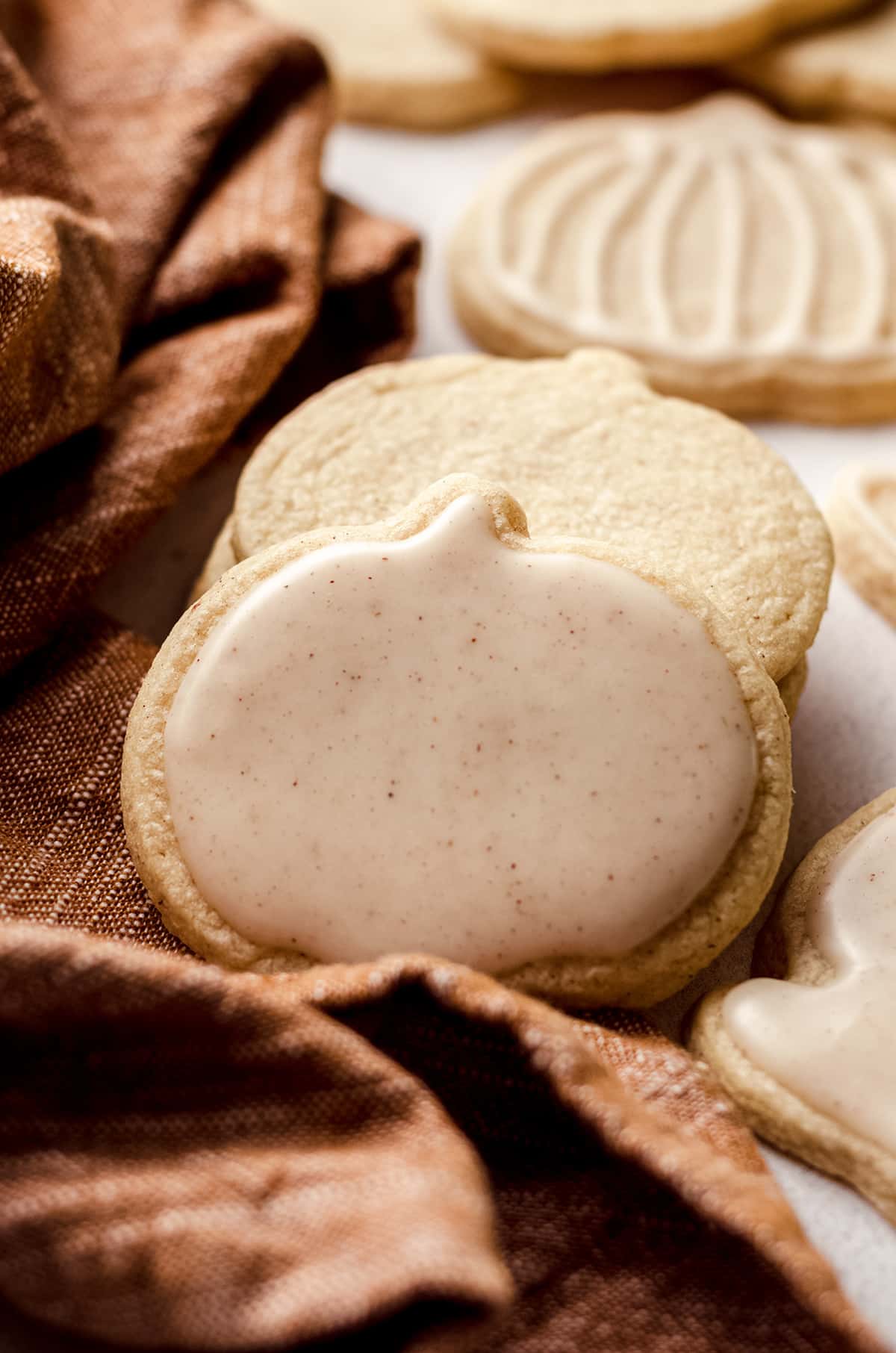 Decorated Pumpkin Pie Cookies (in a Thanksgiving Cookie Set) - all the  details!