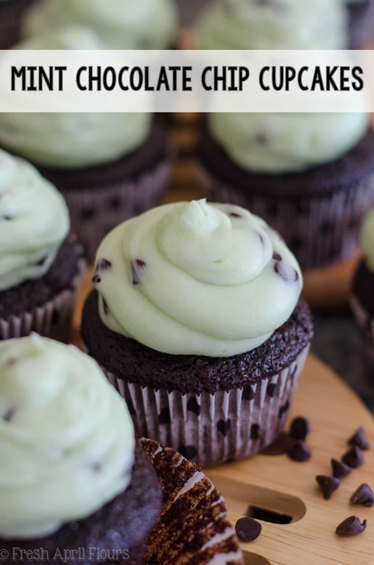 Dark chocolate chocolate chip cupcakes topped with creamy mint chocolate chip buttercream. via @frshaprilflours