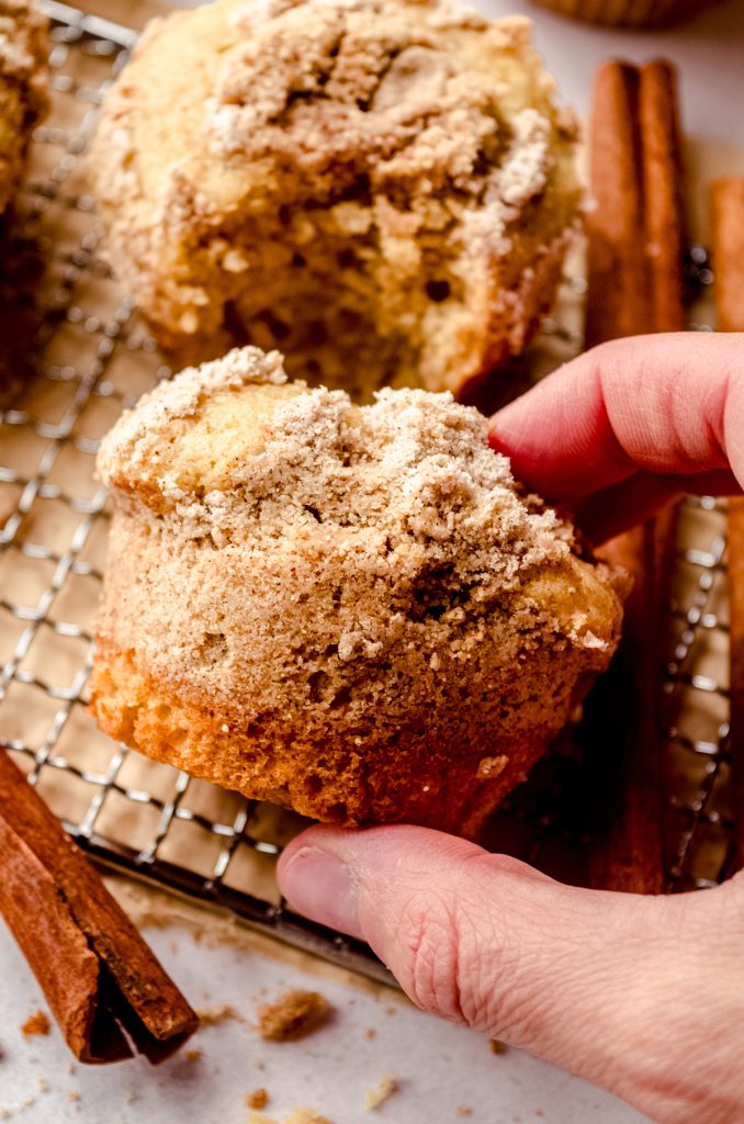 Someone is holding a coffee cake muffin on its side.