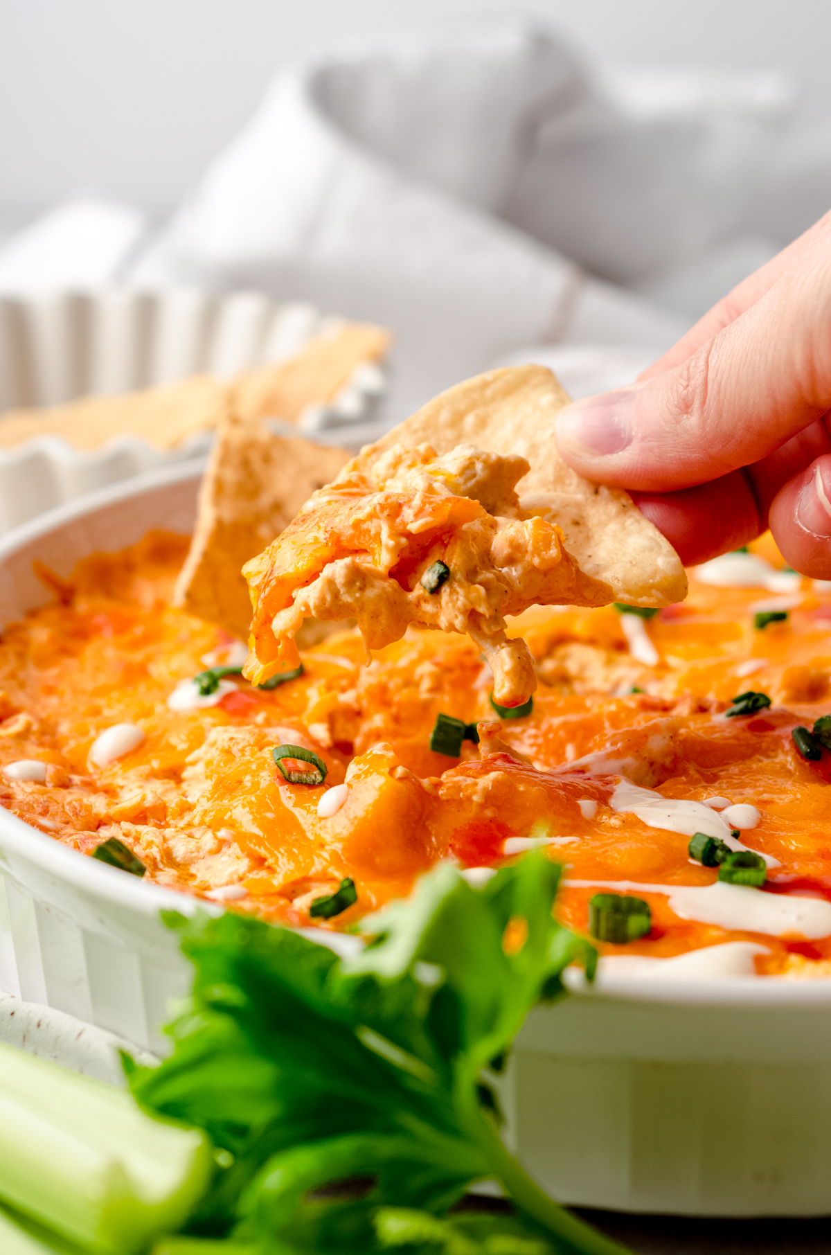 A hand holding a chip that has been dipped in buffalo chicken dip.