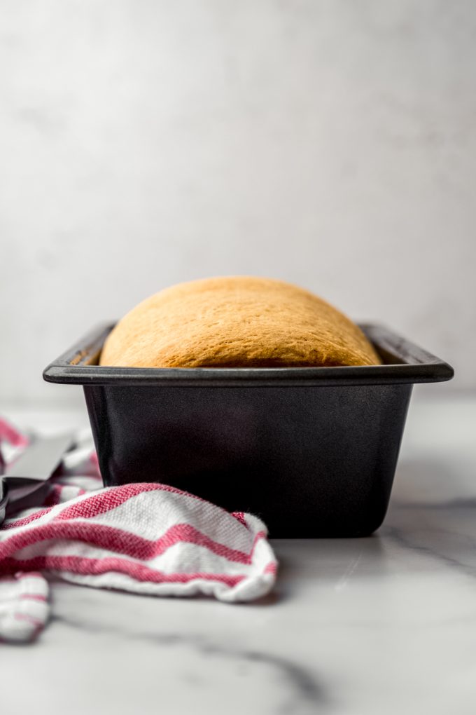 A loaf of baked sandwich bread in a baking pan.