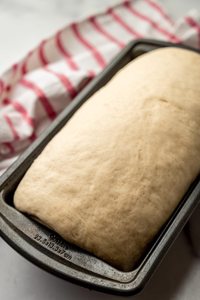 A log of sandwich bread dough in a loaf pan.