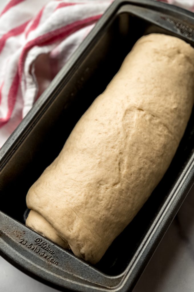 A log of sandwich bread dough in a loaf pan.