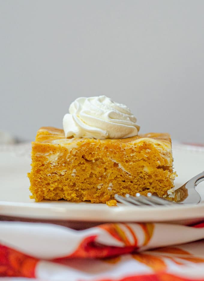 Pumpkin Cheesecake Swirl Sheet Cake: Dense and flavorful pumpkin cake swirled with sweet and creamy cheesecake.