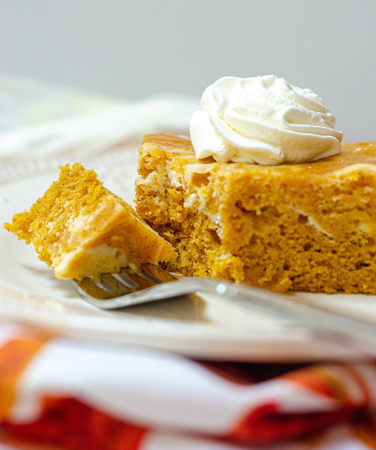 Dense and flavorful pumpkin cake swirled with sweet and creamy cheesecake. via @frshaprilflours