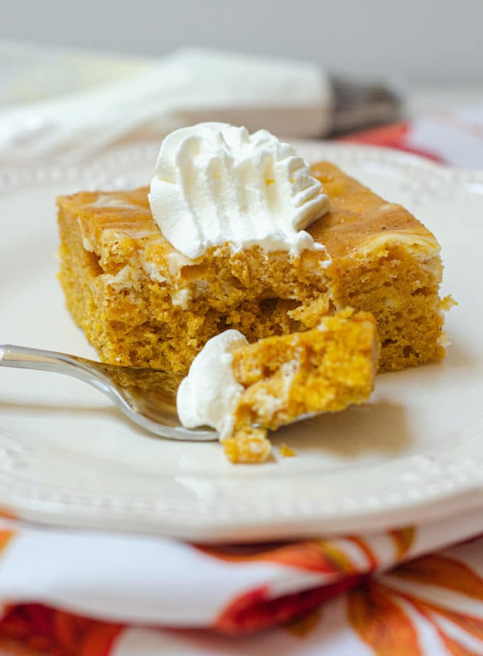 Pumpkin Cheesecake Swirl Sheet Cake: Dense and flavorful pumpkin cake swirled with sweet and creamy cheesecake.