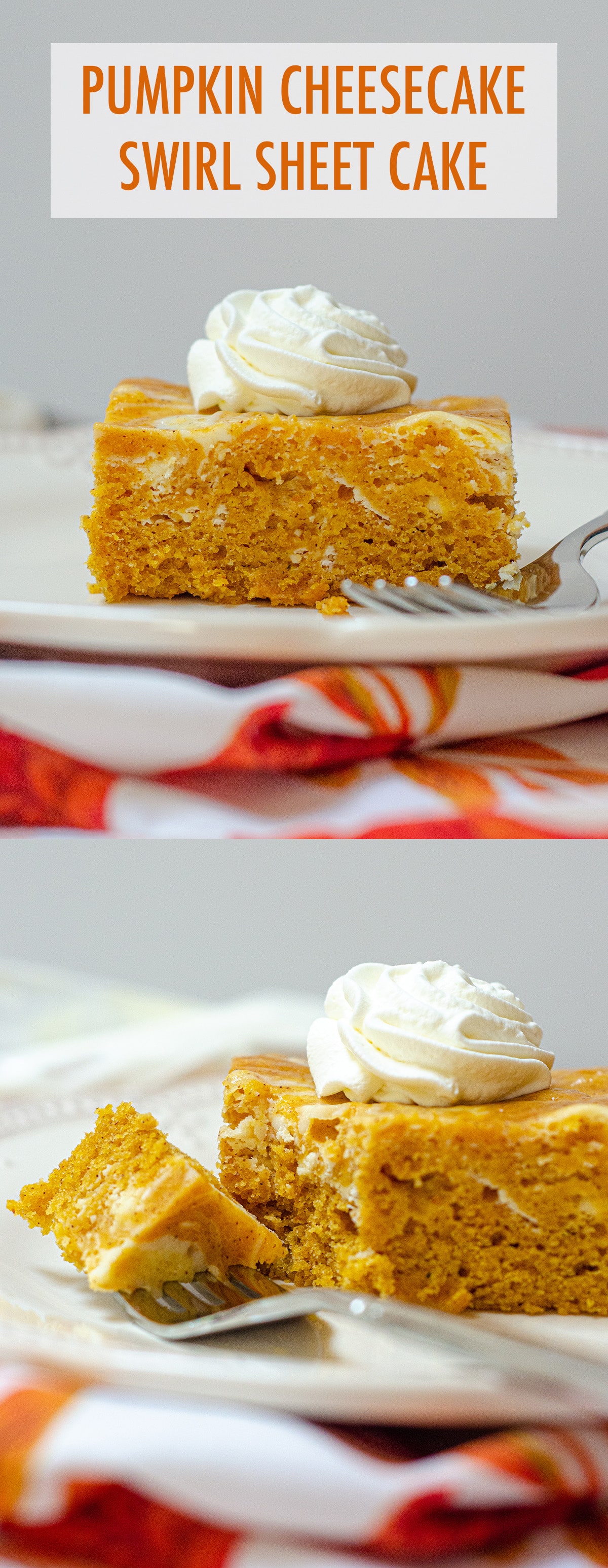 Dense and flavorful pumpkin cake swirled with sweet and creamy cheesecake. via @frshaprilflours