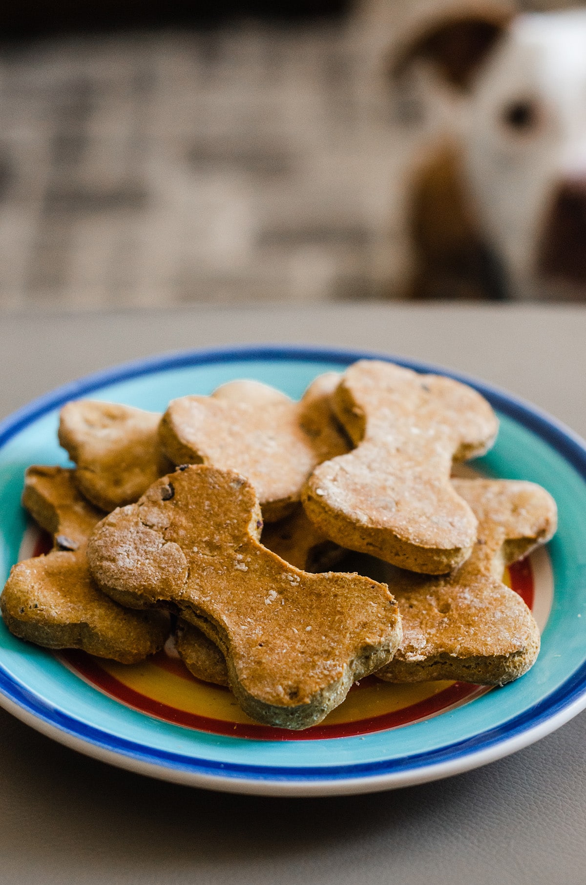 a plate of homemade dog treats with a dog waiting for them in the background