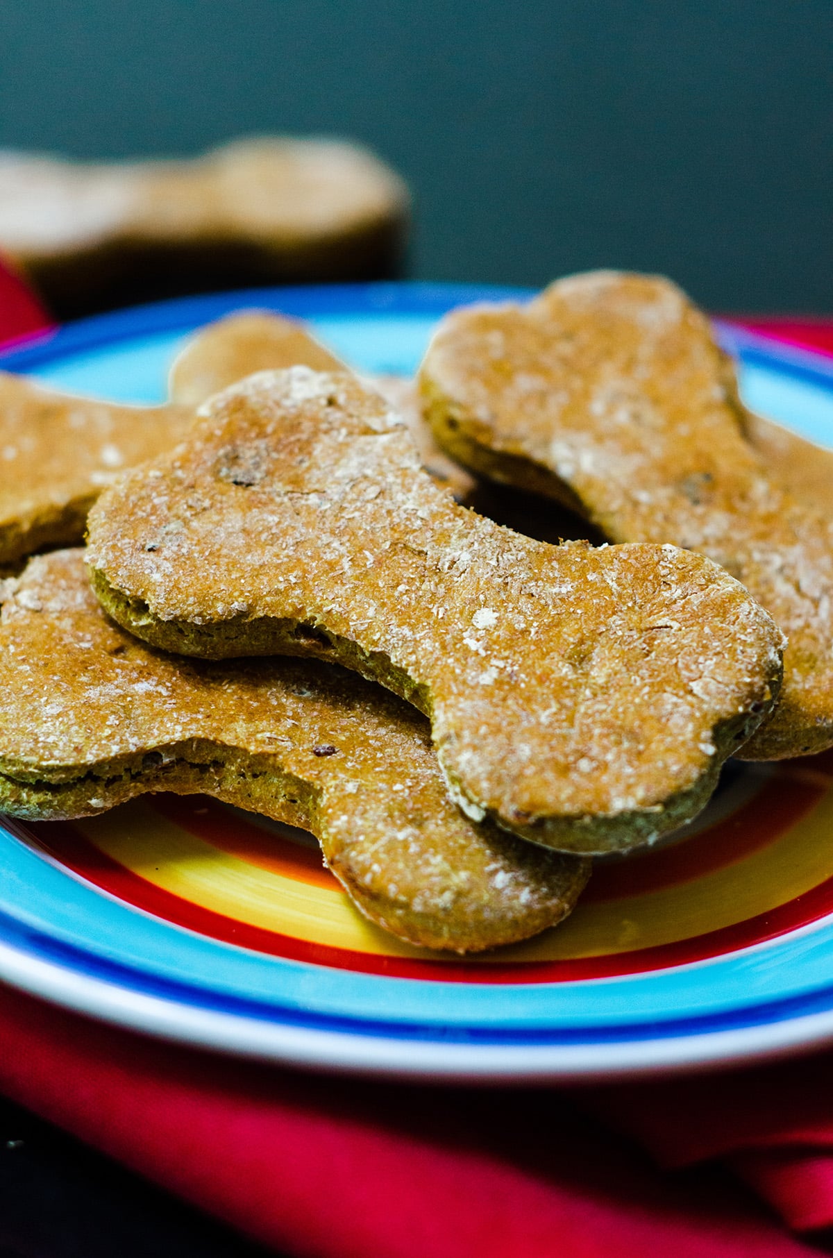 Low Cal Dog Biscuit Recipes : Homemade Peanut Butter Dog Treats Damn ...