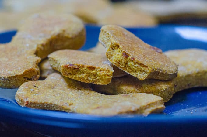 peanut free dog treats recipe