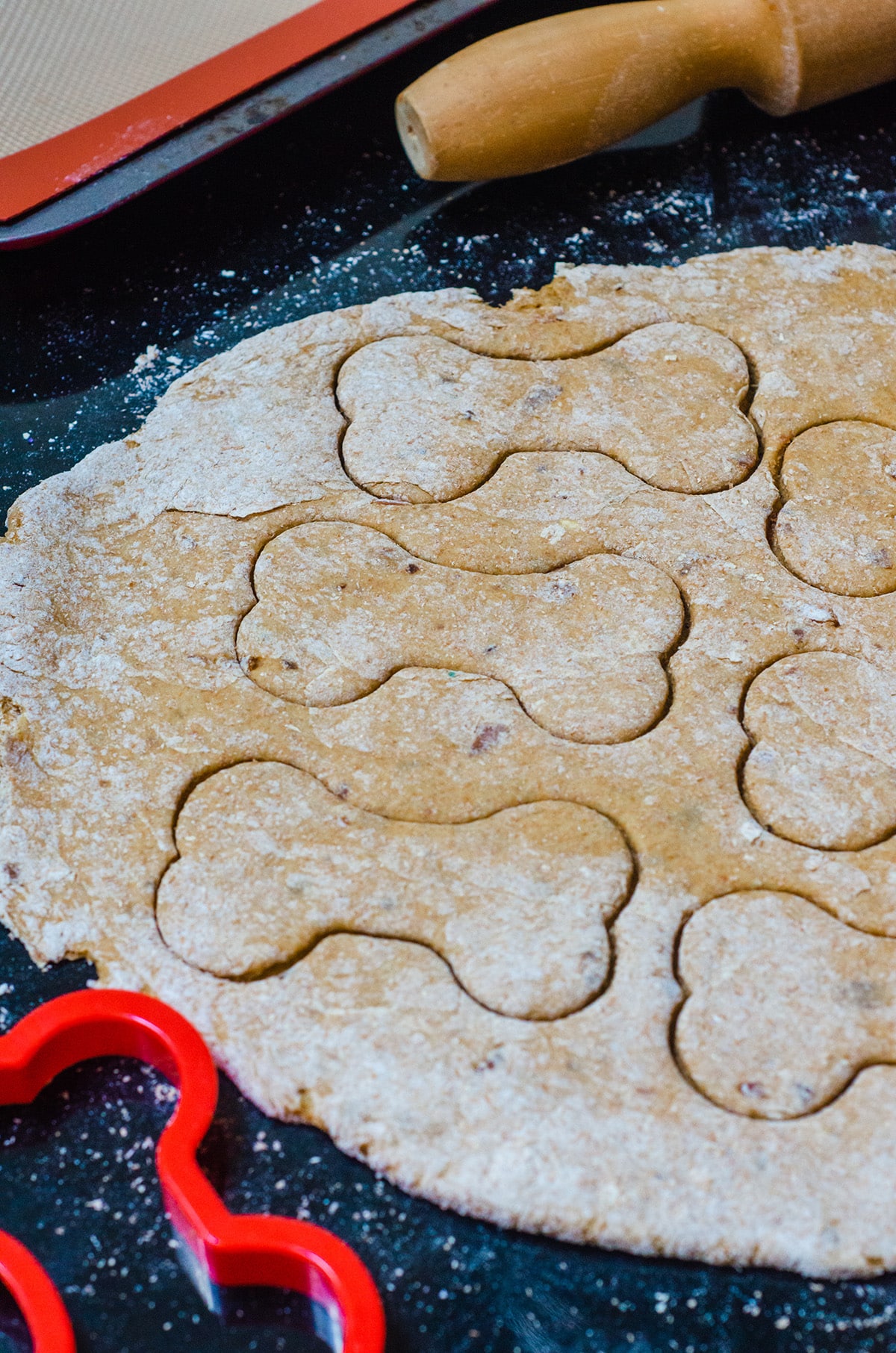 homemade pumpkin dog treat dough with a bone cookie cutter