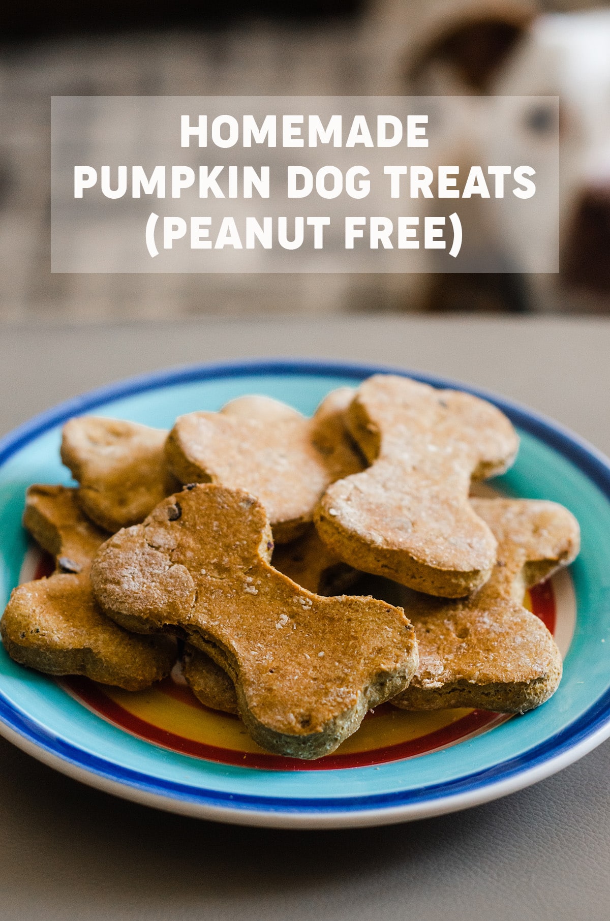 Homemade Pumpkin Dog Treats (Without Peanut Butter) - Fresh April Flours